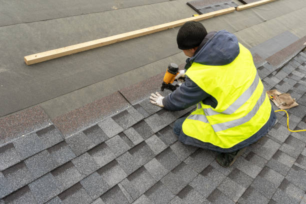 Best Local Roofing Companies  in Way, NE