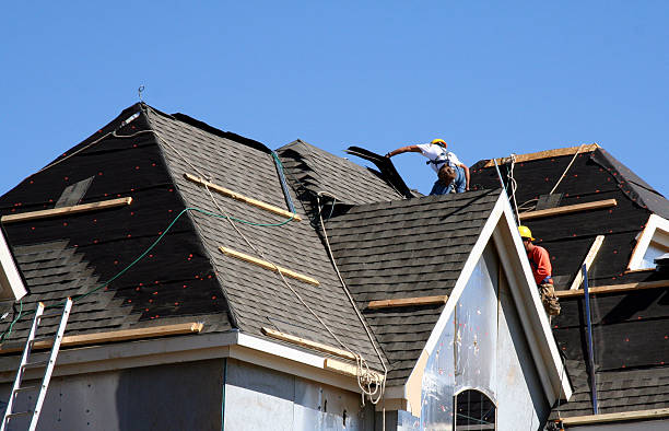 Best Storm Damage Roof Repair  in Way, NE