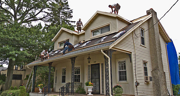 Roof Gutter Cleaning in Wayne, NE
