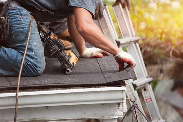 Best Flat Roof Repair Services  in Way, NE