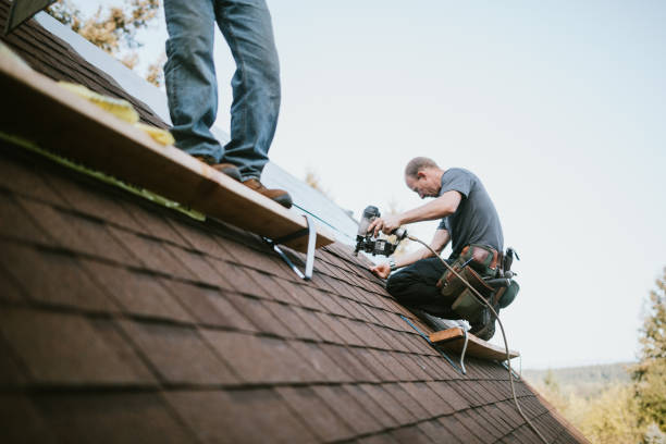 Best Roof Waterproofing Services  in Way, NE