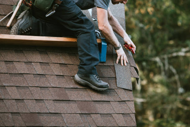 Best Roof Leak Repair  in Way, NE