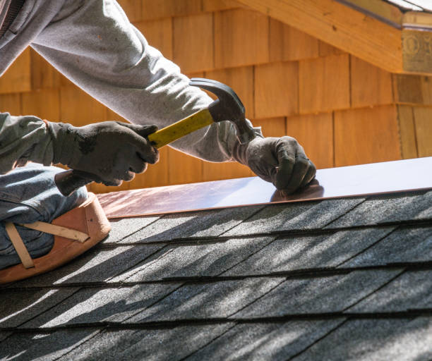 Best Shingle Roofing Installation  in Way, NE